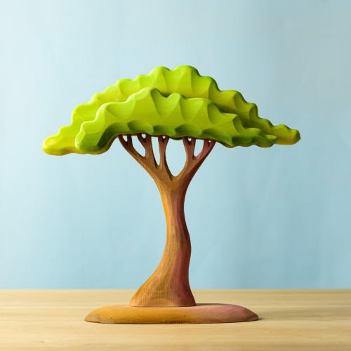 Large Acacia Tree