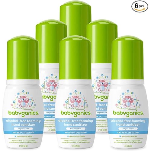 Babyganics Foaming Pump Hand Sanitizer, Alcohol Free, Travel Size, Fragrance Free, Kills 99.9% of Common Bacteria, Moisturizing, 1.69oz (Pack of 6) - 1.69 Fl Oz (Pack of 6)
