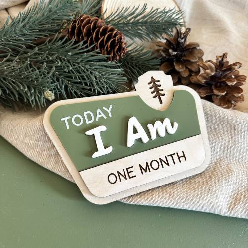 National Park Milestone Set|Rustic Monthly Milestones|Happy Camper Milestone Set