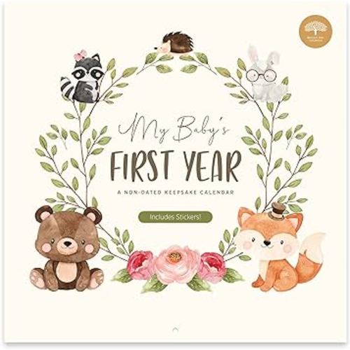 Baby's First Year Calendar by Bright Day - 1st Year Tracker - Journal Album To Capture Precious Moments - Milestone Keepsake For Baby Girl or Boy