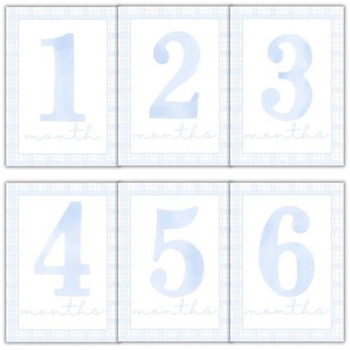 Boys Blue Plaid Milestone Photo Cards