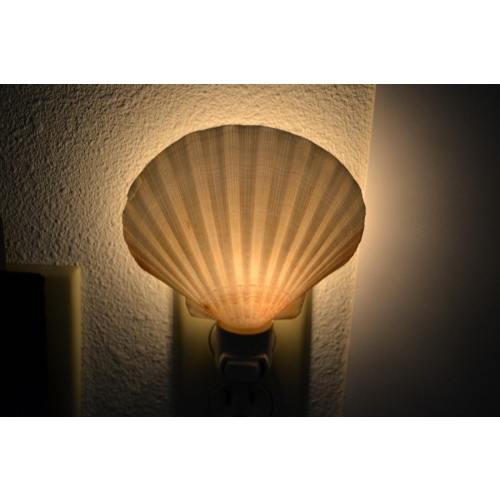 DEEP SCALLOP Sea Shell NIGHTLIGHT