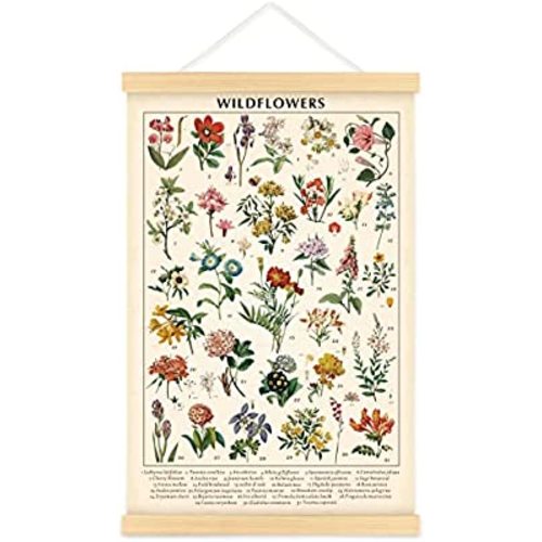Vintage Wildflowers Poster Botanical Wall Art Prints Colorful Rustic Style of Floral Wall Hanging Illustrative Reference Flower Chart Poster for Living Room Office Bedroom Decor Frame 15.7 x 23.6 Inch