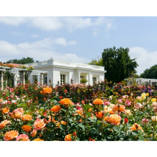 The Huntington Gardens Membership