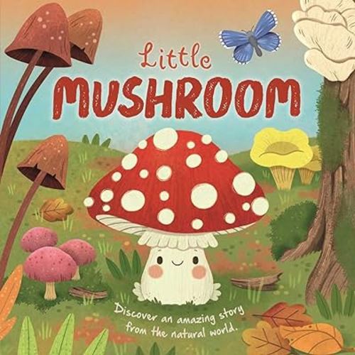 Nature Stories: Little Mushroom-Discover an Amazing Story from the Natural World: Padded Board Book