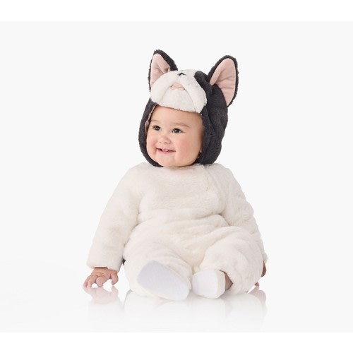 Baby Frenchie Dog Costume