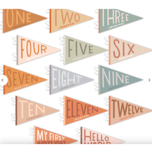 Mountain Fields Petit Milestone Pennants