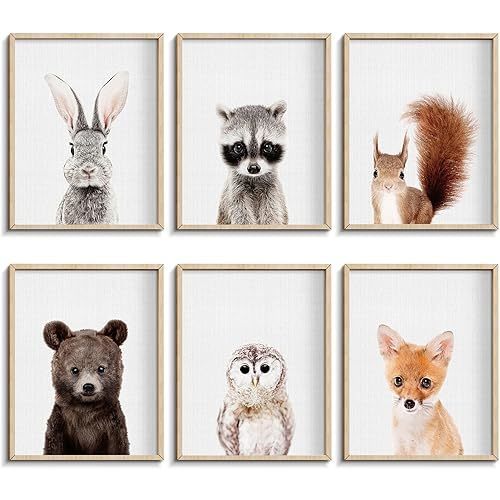 Nursery Baby Room Wall Art Decor, Jungle Nursery Baby Animals Nursery Decorations, Cute Nursery Safari Decor Baby Bedroom Decorate(8"x10", UNFRAMED) (Forest)