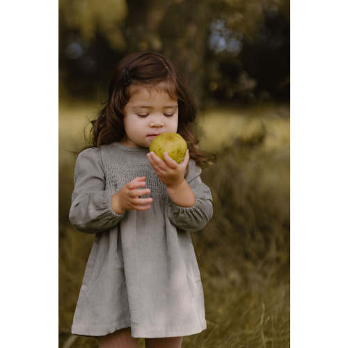 Corduroy Dress - Sage 4T