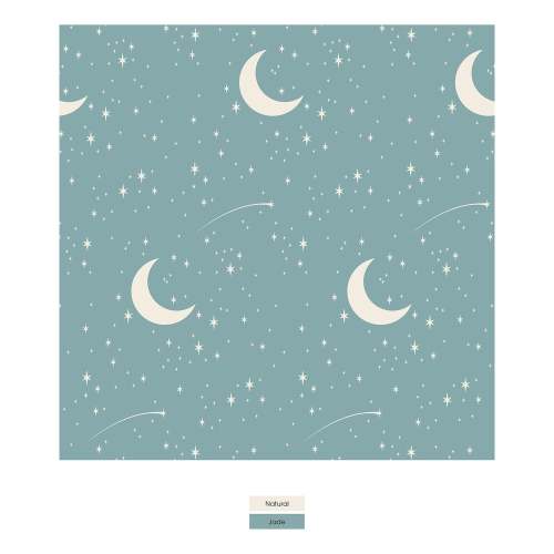 Print Footie with 2 Way Zipper in Jade Starry Sky & Moon 12-18M
