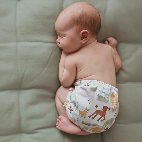 Esembly Cloth Diaper Starter Set of Organic, Reusable Diapers, Off-Leash, Size 1
