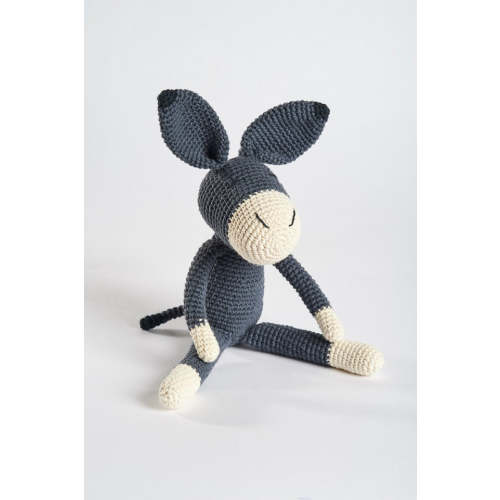 Roque the Donkey