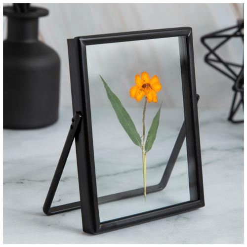 Orange Pressed Flower In Table Frame
