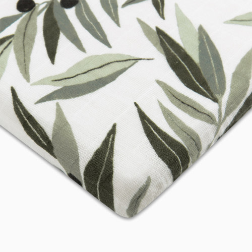 babyletto All-Stages Bassinet Sheet - Olive Branches