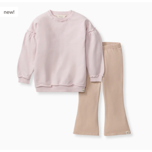 Organic Girl Sweatshirt & Pants Set – Burt's Bees Baby