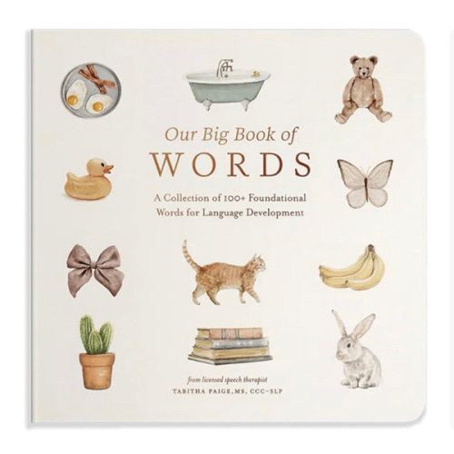 Our Big Book of First Words: A Collection of 100+ Foundational Words for Language Development (Tabitha Paige Children's Book Series)