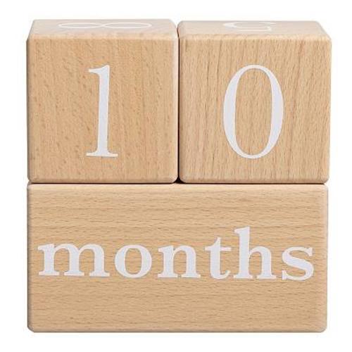 Pearhead Baby Wooden Milestone Blocks & Photo Props