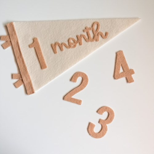 Baby Milestone Bunting Flag Photo Prop Babys First Year - Etsy