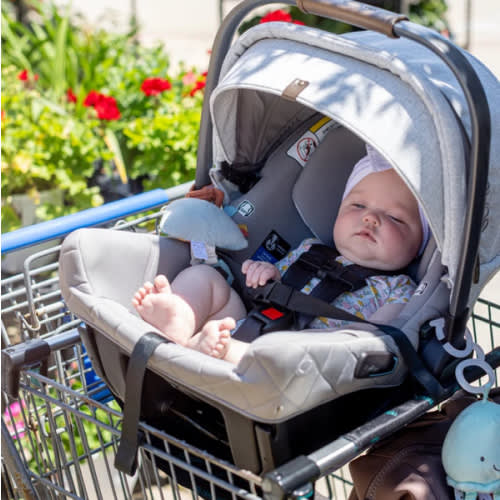 Totes Babies Car Seat Carrier