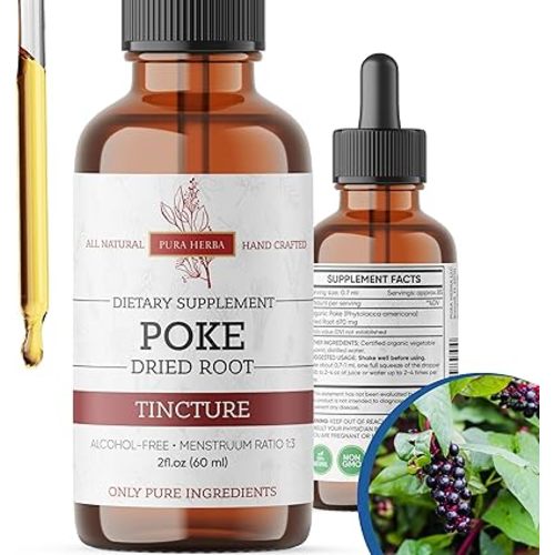 Organic Poke Root Tincture | Poke Root Extract Liquid | Herbal Supplement for Immune Support & Lymphatic Health | Vegan | Alcohol-Free | Non-GMO | Made in USA | 2 Fl Oz