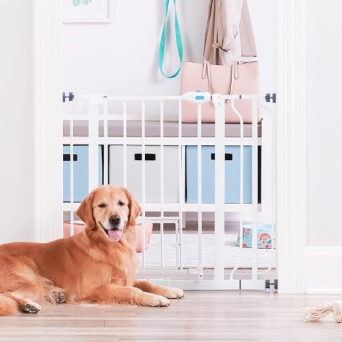 Carlson Extra Wide Walk Through Pet Gate with Small Pet Door, Includes 4-Inch Extension Kit, Pressure Mount Kit and Wall Mount Kit,White - Metal, White