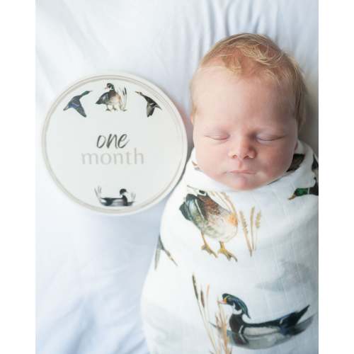 Little Duckling Milestone Cards