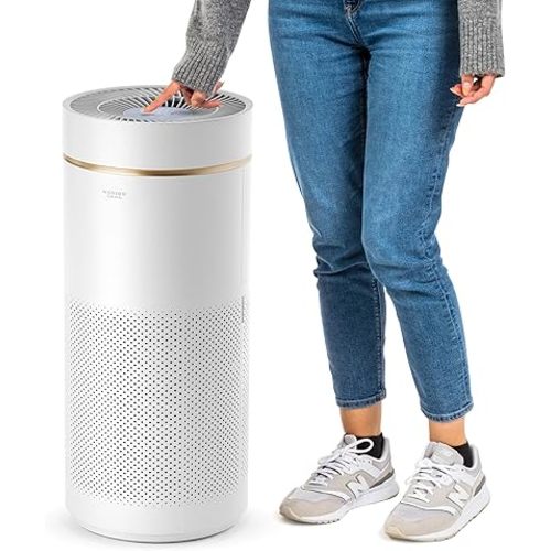IRIS USA WOOZOO True HEPA Air Purifier, H13 filter removes 99.97% of particles, pollen, pet dander, smoke, and odors. Covers up to 1,558 ft², featuring auto mode, air quality indicator, and filtration