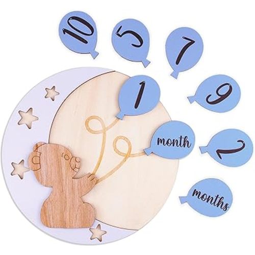 Bear Wooden Monthly Baby Milestone Cards, Baby Monthly Milestone Wood Discs, Baby Months Signs, Baby Milestone Discs, Interchangeable Milestone Cards, Baby Photo Props