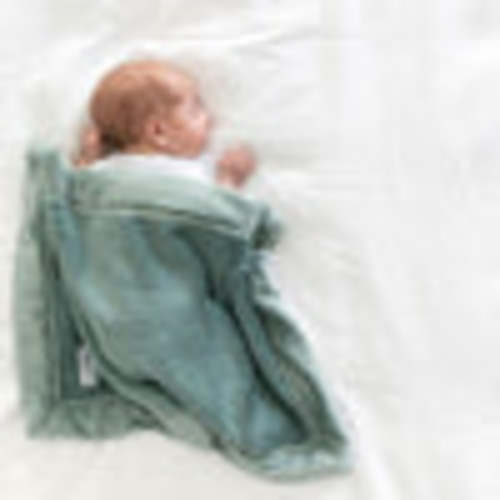 Preferred Colors (Camel, Feather, Seagrass, Mineral Blue) - Saranoni Lush Mini Blankets: Baby-Soft & Cozy