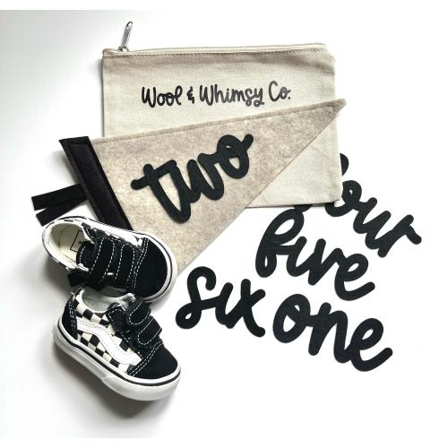 Baby Monthly Milestone Pennant Flag: Newborn Photo Prop