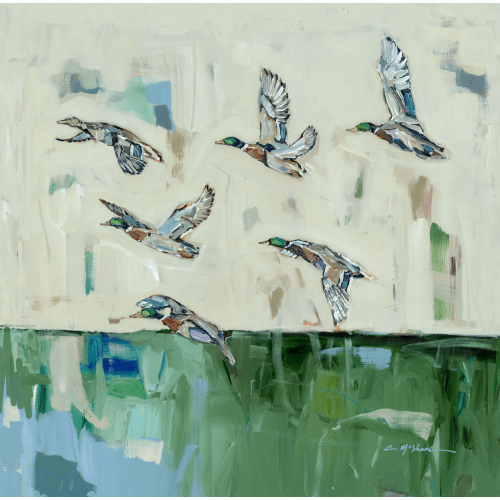 "Mallards Calling" on canvas – Chelsea McShane Art