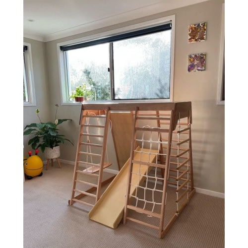 Indoor Climbing Play Gym with Slide & Swing Frame