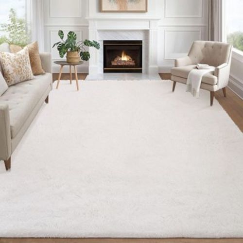 Plush Fuzzy Rugs Ultra Soft Fluffy Furry Rugs Non Slip Non Shedding Area Rug Indoor Carpet Nursery Rugs for Kids Room Bedroom Home Decor