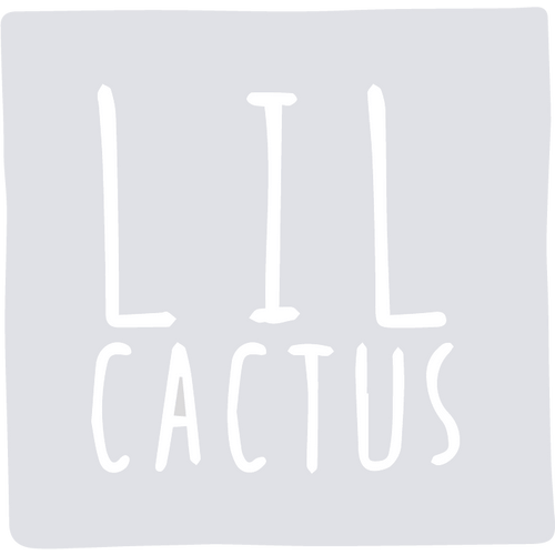 Light Blue Airplane Bubble Romper – Lil Cactus