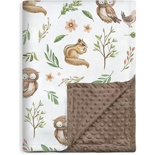 BORITAR Baby Blanket for Boys Girls Super Soft Double Layer Minky with Dotted Backing, Lovely Owl Woodland Animal Design Blanket for Toddler Newborn 30 x 40 Inch(75x100cm)