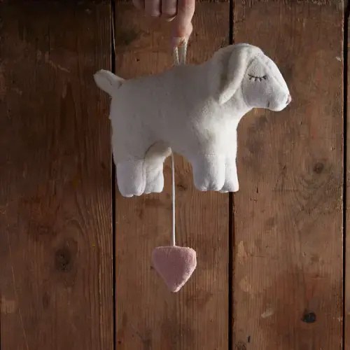 Cotton Music Box - Sheep