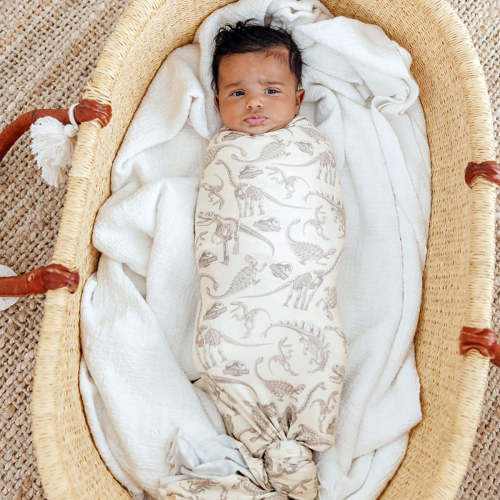 Knit Swaddle Blanket - Jurassic Park Fossils