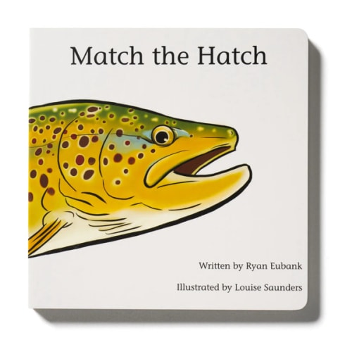 Match The Hatch Childrens Book