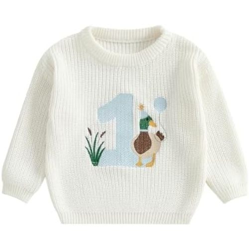 Baby Boy First Birthday Outfit Sweater Knitwear Mallard Duck Knitted One Year Old Clothes Fall Winter Pullover Top