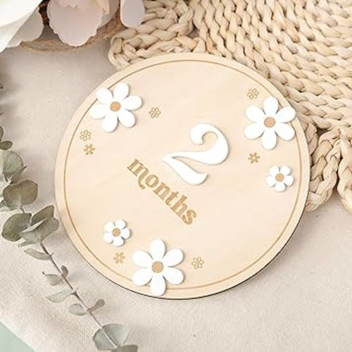 Wooden Boho Daisy Flower Milestone Cards - 1-12 Months Interchangeable Milestone Card Decor,Baby Party Photo Prop，Full Moon Background Decoration Props. (2-12 Months Daisy Flower Milestone Cards)
