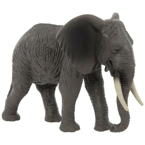 Adult African Elephant