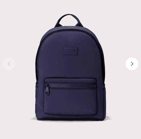 Dagne Dover Dakota Backpack in Storm, Large