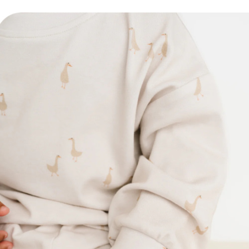 Little One Shop Silly Goose Sweatsuit 4T