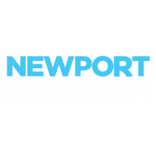 Annual Membership | Newport Aquarium