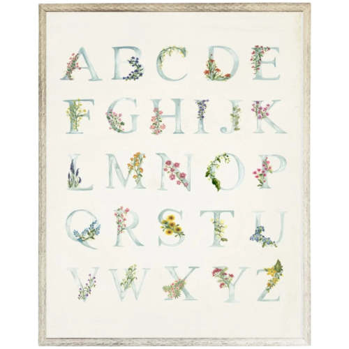 Blue ABCs with Floral Accents Children’s Framed Wall Art