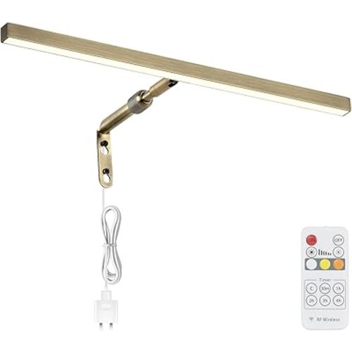 LED Picture Lights for Paintings Plug in, 16 Inch 4W Adjustable Art Light Gallery Wall Light for Display Art Work, Antique Brass Finish, CRI90+, 3000K Warm White