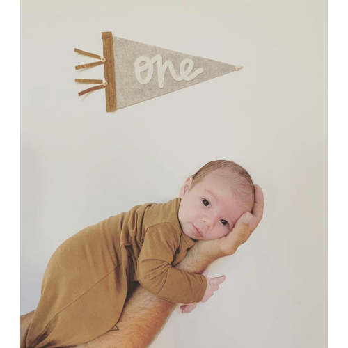 Monthly Milestone Pennant – Eventide Pennant Co.