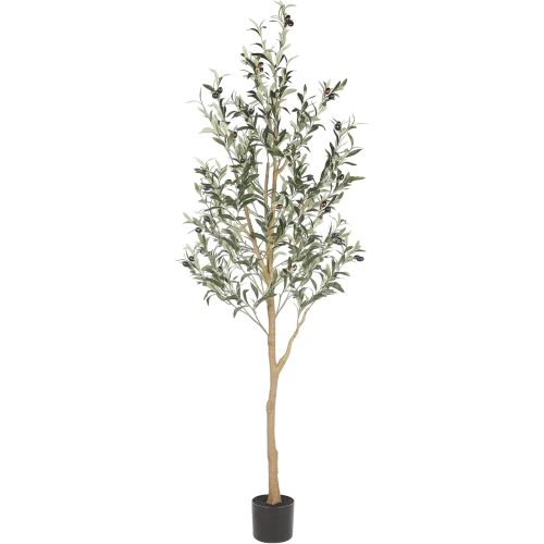 Realead 6ft Artificial Olive Tree, Tall Faux Olive Tree Plants, Fake Potted Olive Silk Tree with Branches and Fruits, Artificial Trees for Modern Home Office Living Room Floor Decor Indoor (72in)