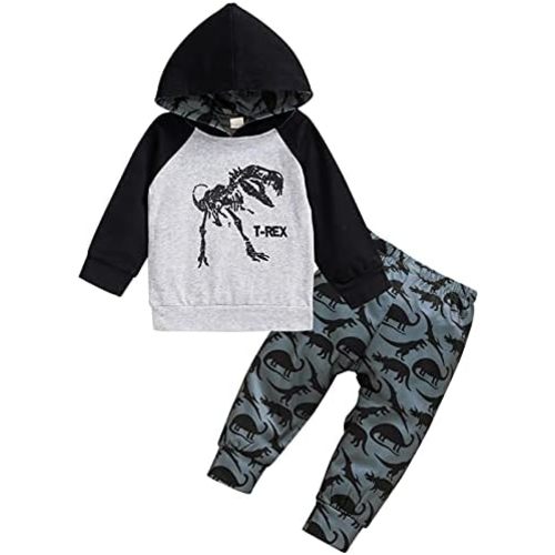 HINTINA Baby Boys Dinosaur Long Sleeve Hoodie Tops Sweatsuit Pants Winter Outfit Set
