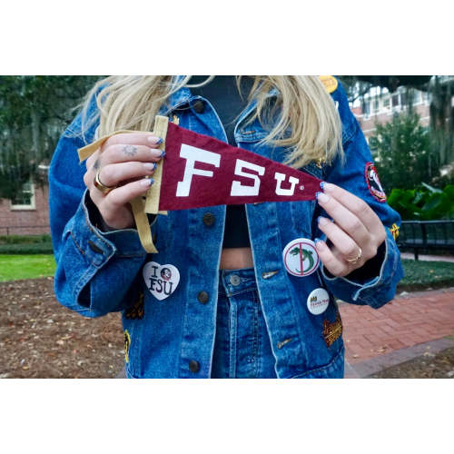 "FSU" mini pennant